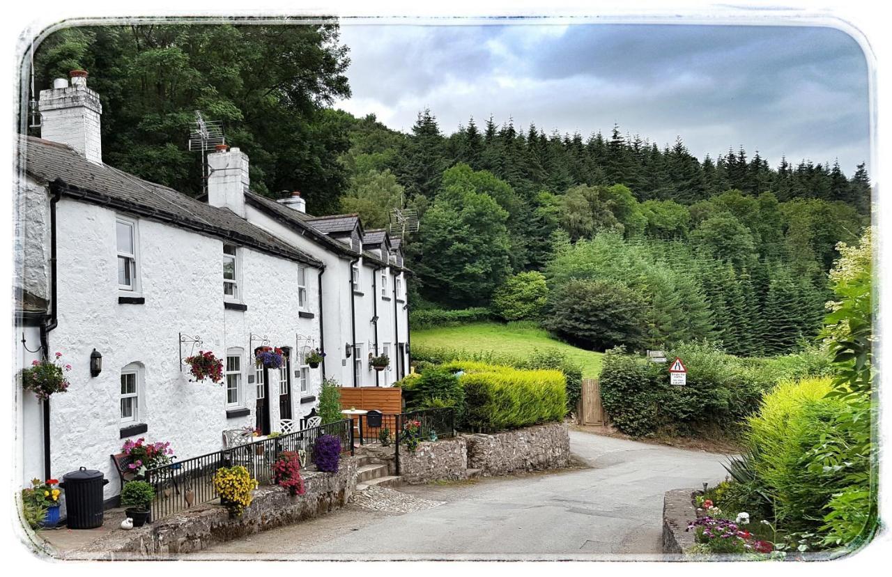 River Cottage Сент-Асаф Экстерьер фото