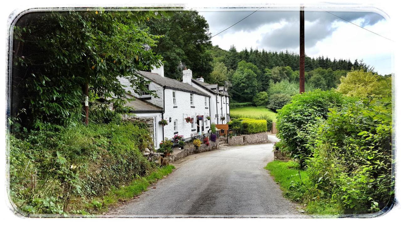 River Cottage Сент-Асаф Экстерьер фото