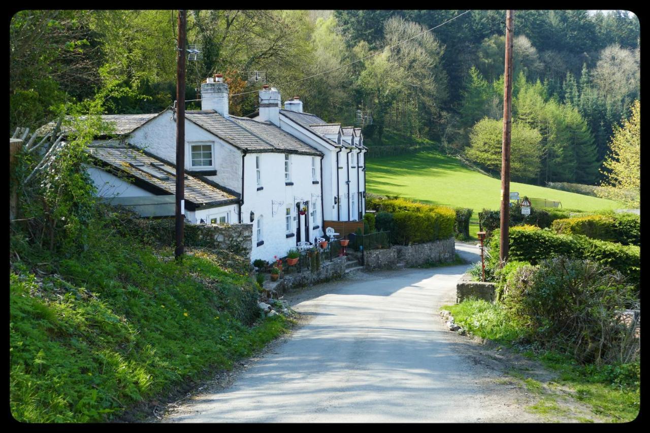 River Cottage Сент-Асаф Экстерьер фото