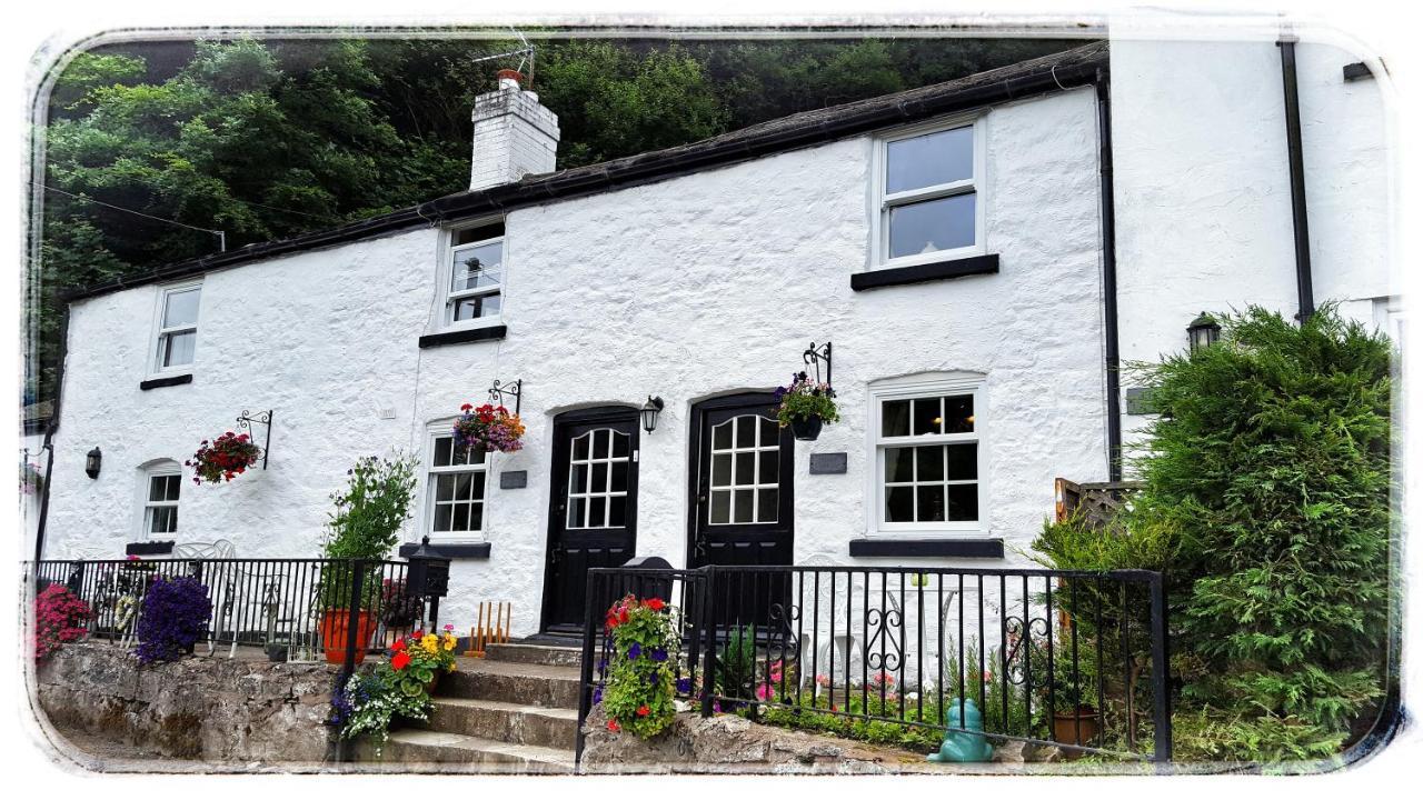 River Cottage Сент-Асаф Экстерьер фото